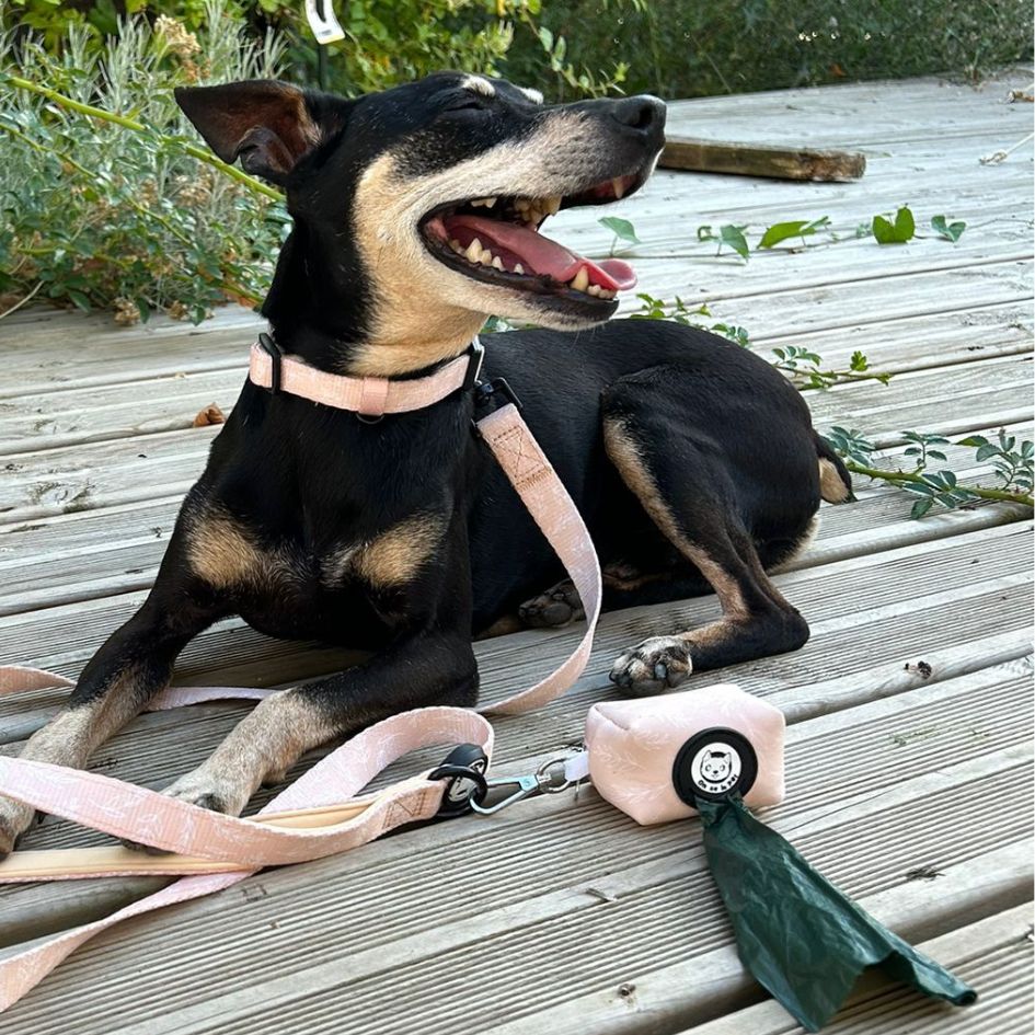 Practical and Ecological PoochPouch - Tropical Beige