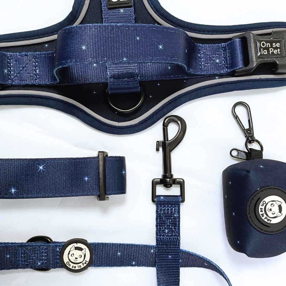 Laisse pour Chien Confortable et Pratique - Bleu Nuit