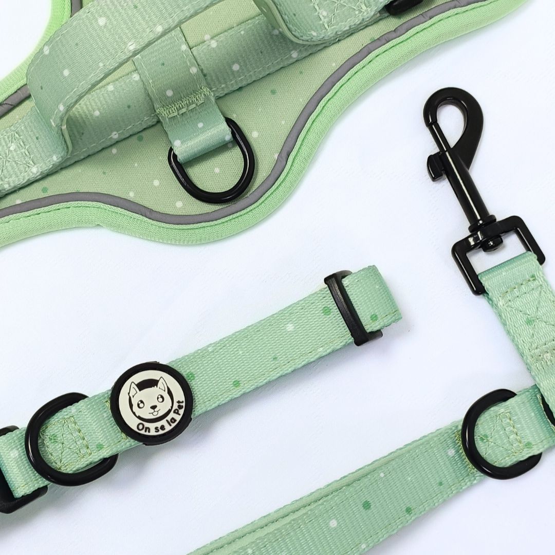 Laisse pour Chien Confortable et Pratique - Vert Pastel