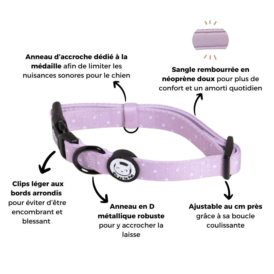 Padded and Adjustable Dog Collar - Lilac