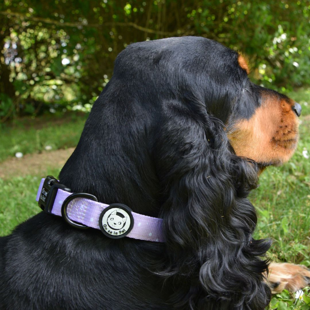 Padded and Adjustable Dog Collar - Lilac
