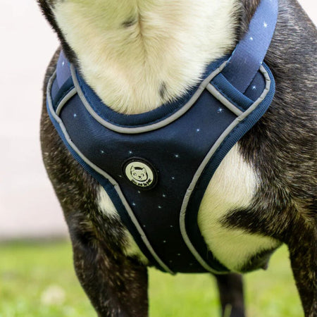 Harnais pour Chien Confortable et Innovant - Bleu Nuit