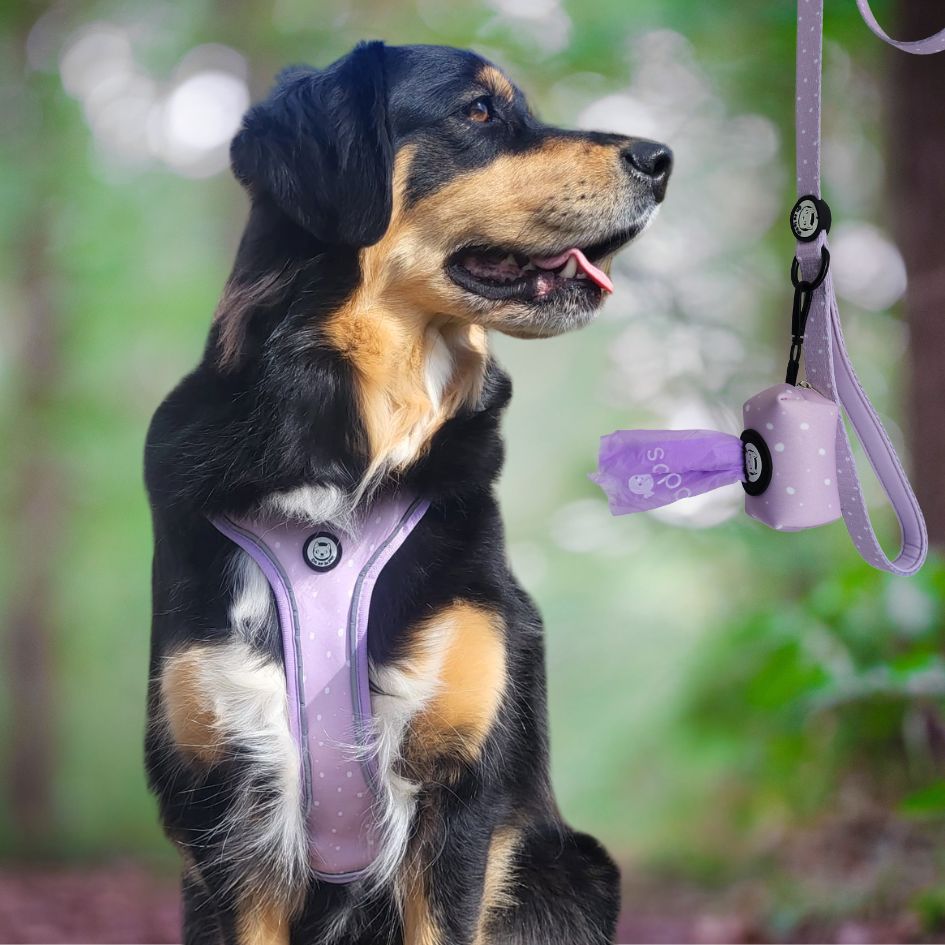 Comfortable and Practical Dog Leash - Lilac