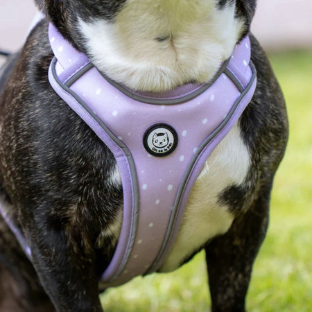 Comfortable and Innovative Dog Harness - Lilac