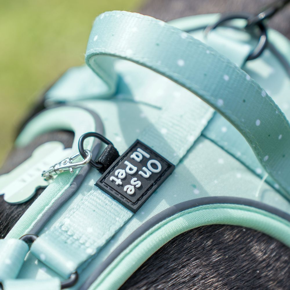 Comfortable and Innovative Dog Harness - Pastel Green