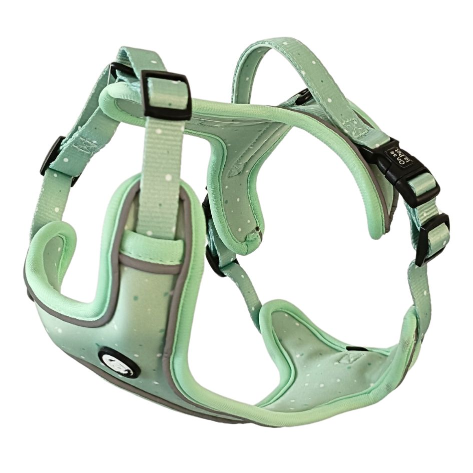 Comfortable and Innovative Dog Harness - Pastel Green
