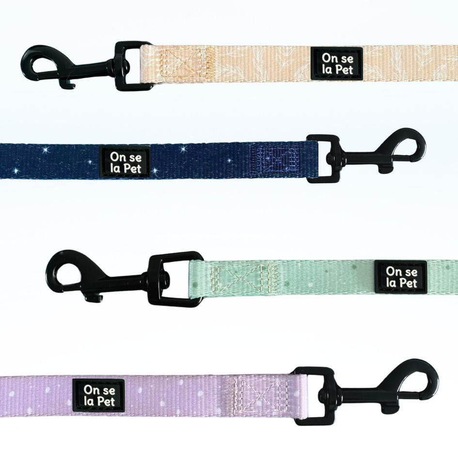 Laisse pour Chien Confortable et Pratique - Vert Pastel