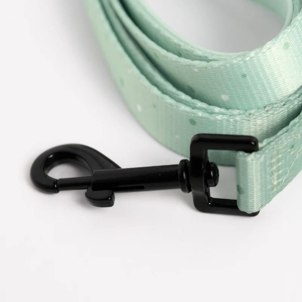 Laisse pour Chien Confortable et Pratique - Vert Pastel