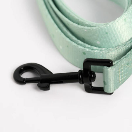 Comfortable and Practical Dog Leash - Pastel Green