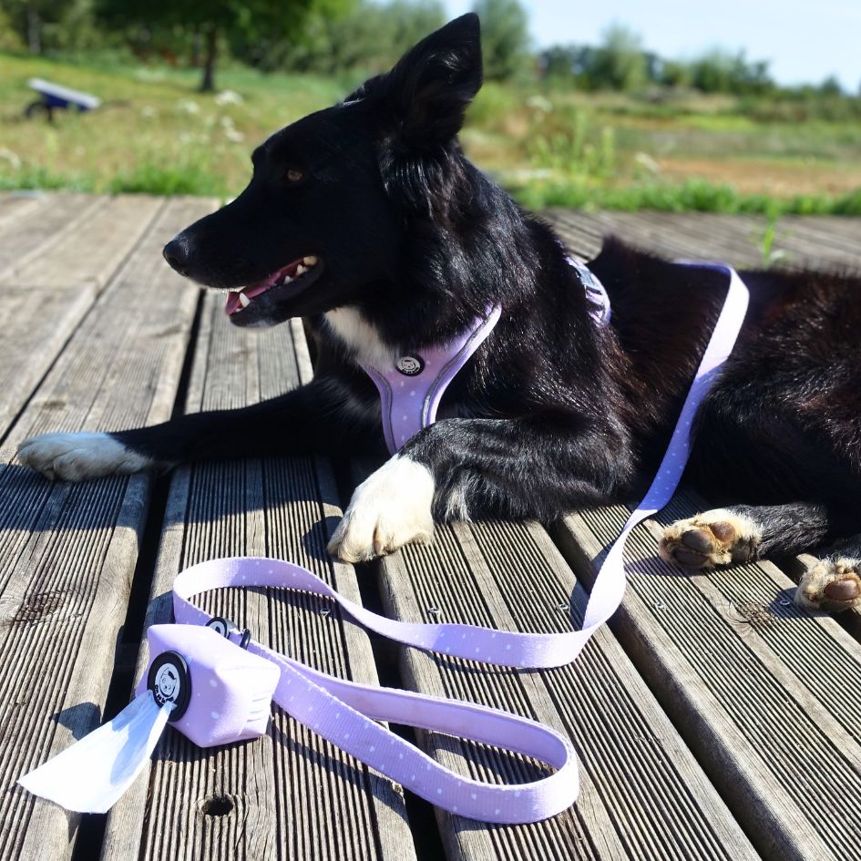 Comfortable and Practical Dog Leash - Lilac