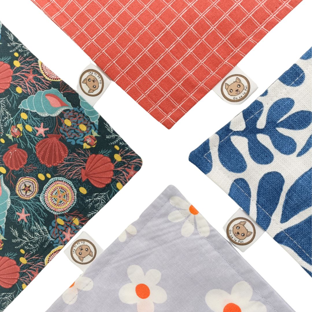 Bandana pour Chien - Coquillages