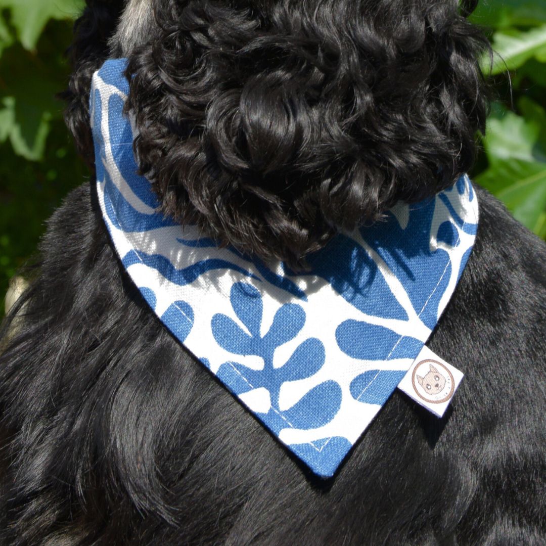 Bandana pour Chien - Azur