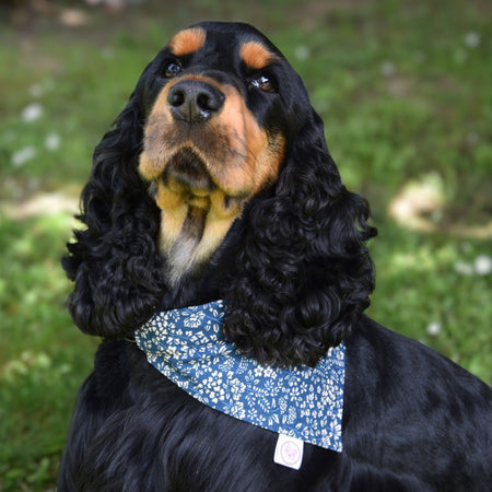 Bandana pour Chien - Bleu Liberty