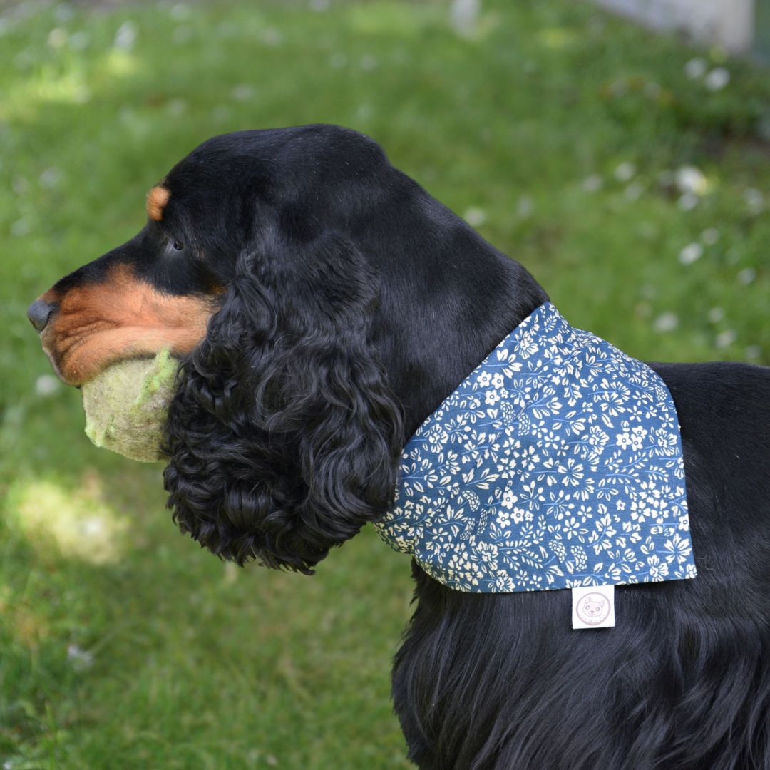 Bandana pour Chien - Bleu Liberty