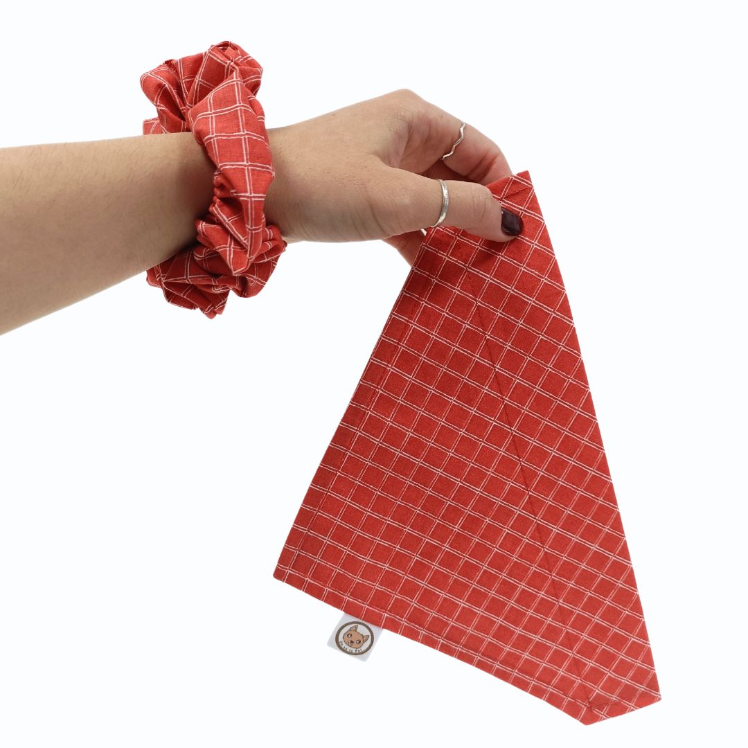 Bandana pour Chien - Canyon