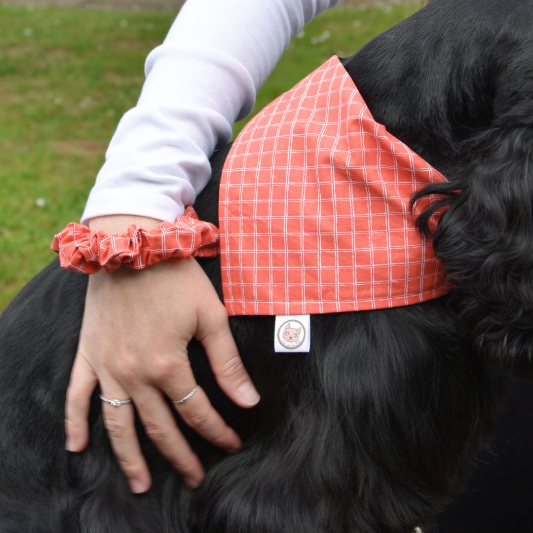 Bandana pour Chien - Canyon