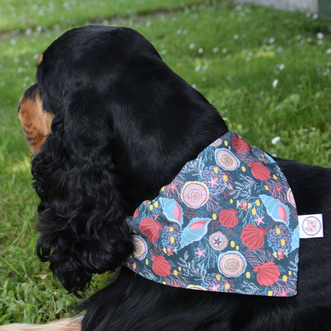 Bandana pour Chien - Coquillages