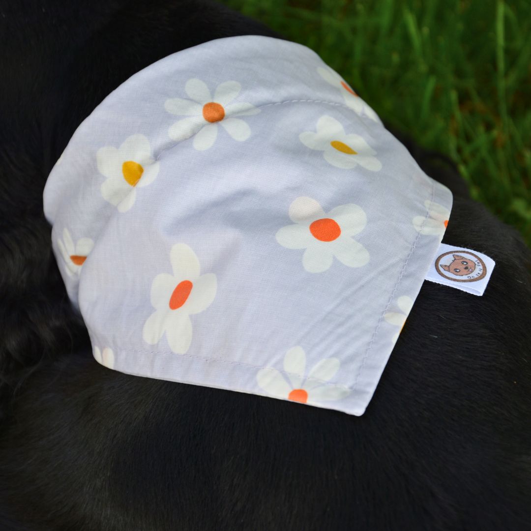 Bandana imperméable pour Chien - Retro Daisy