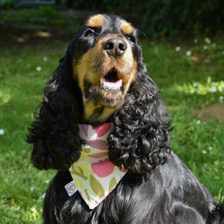 Bandana pour Chien - Printemps
