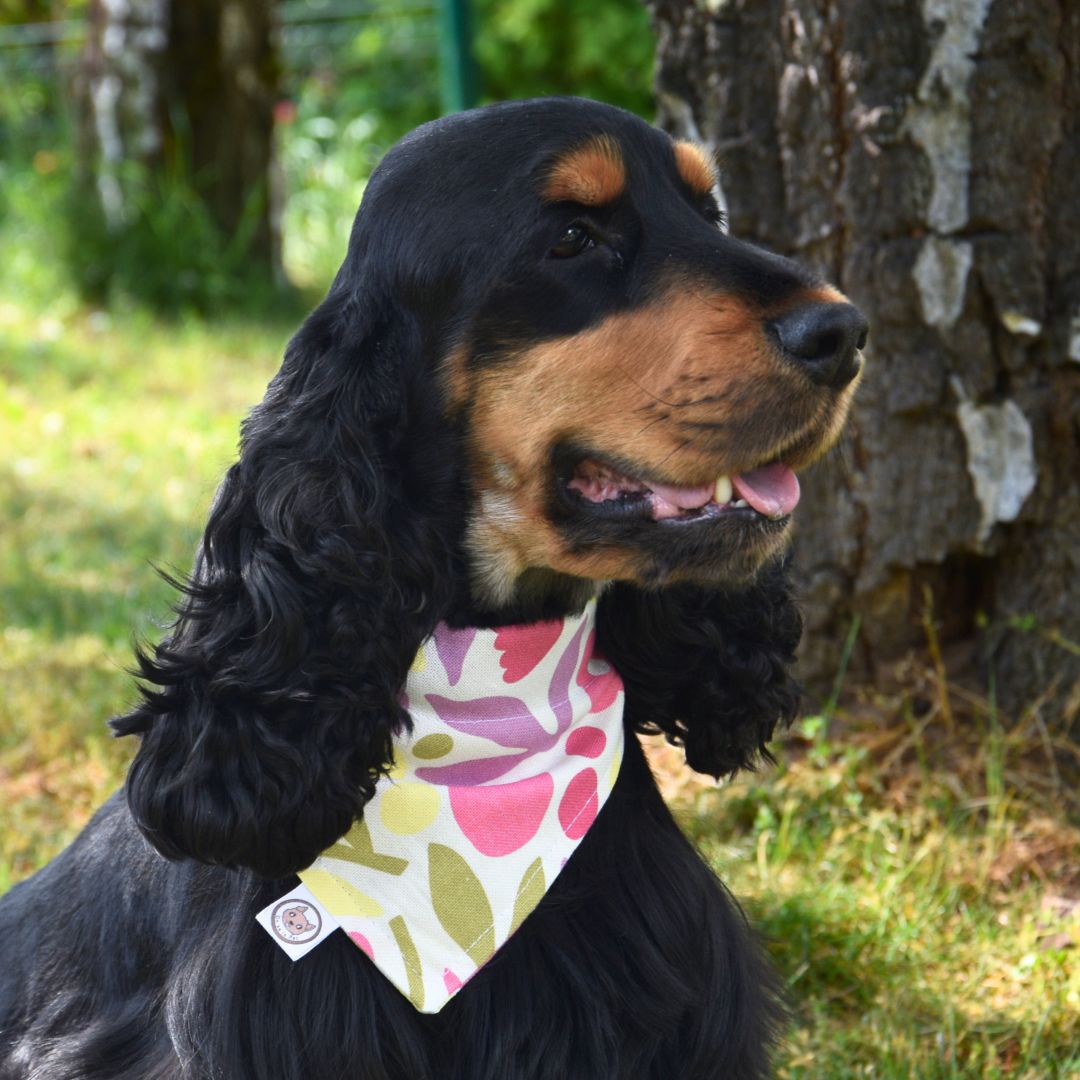 Bandana pour Chien - Printemps