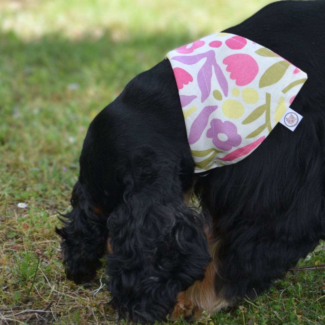 Bandana pour Chien - Printemps