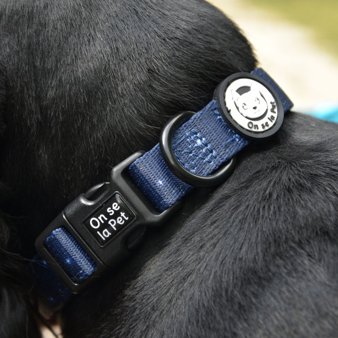 Collier pour Chien Rembourré et Ajustable - Bleu nuit