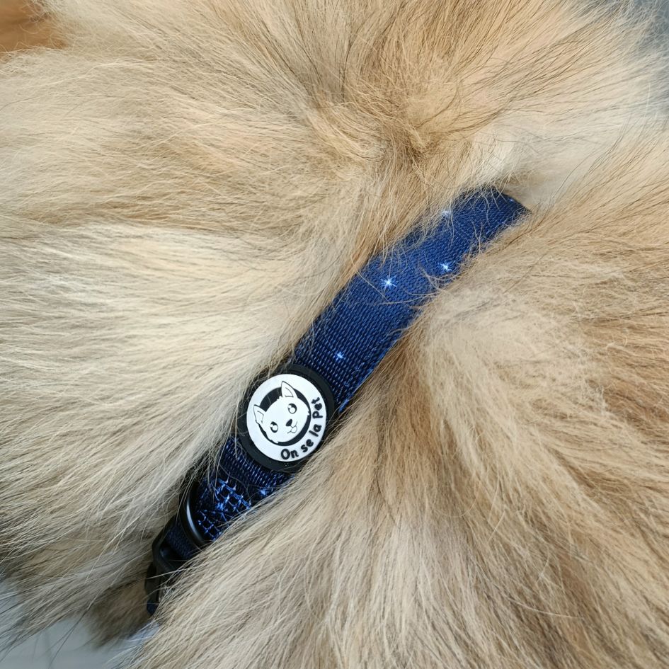 Collier pour Chien Rembourré et Ajustable - Bleu nuit