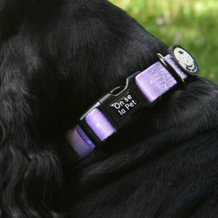 Padded and Adjustable Dog Collar - Lilac