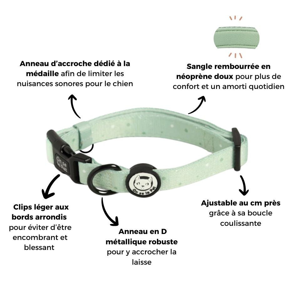 Padded and Adjustable Dog Collar - Pastel Green