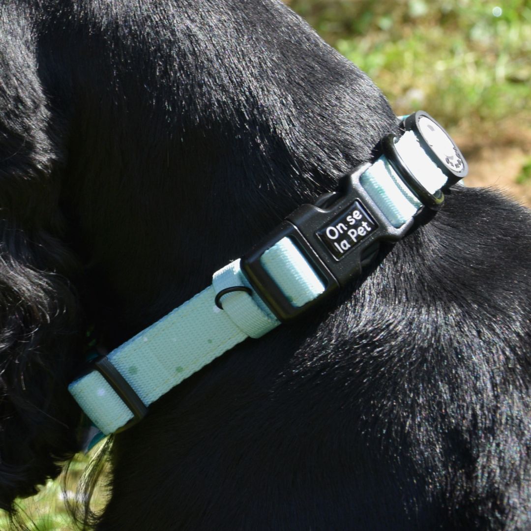 Padded and Adjustable Dog Collar - Pastel Green