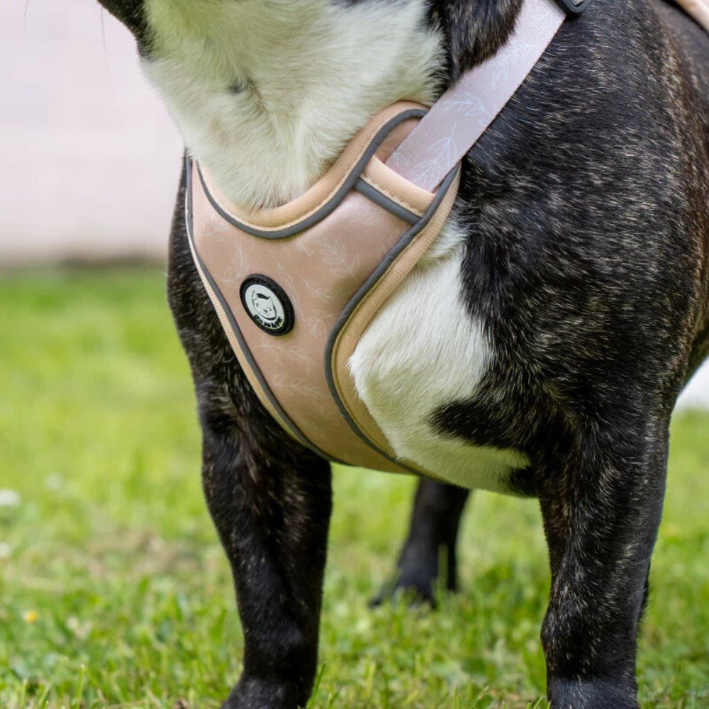 Harnais pour Chien Confortable et Innovant - Beige Tropical