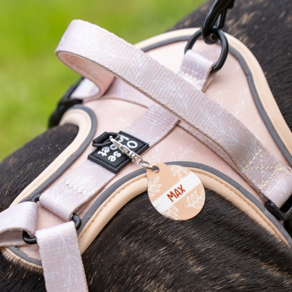 Harnais pour Chien Confortable et Innovant - Beige Tropical