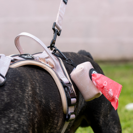 Comfortable and Innovative Dog Harness - Tropical Beige