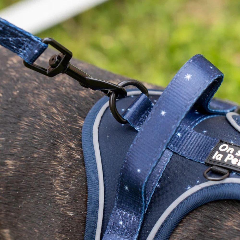 Harnais pour Chien Confortable et Innovant - Bleu Nuit