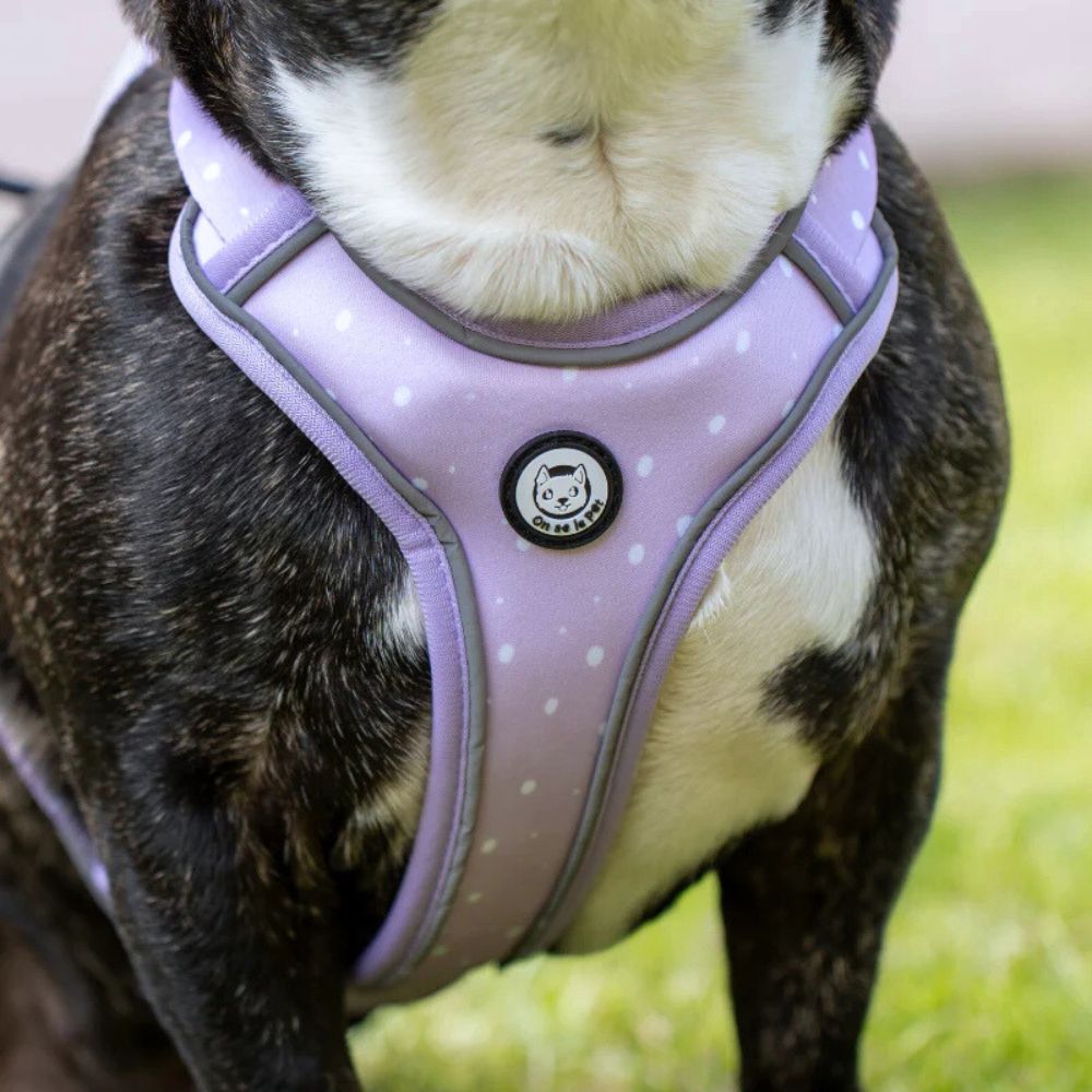 Harnais pour Chien Confortable et Innovant - Lilas