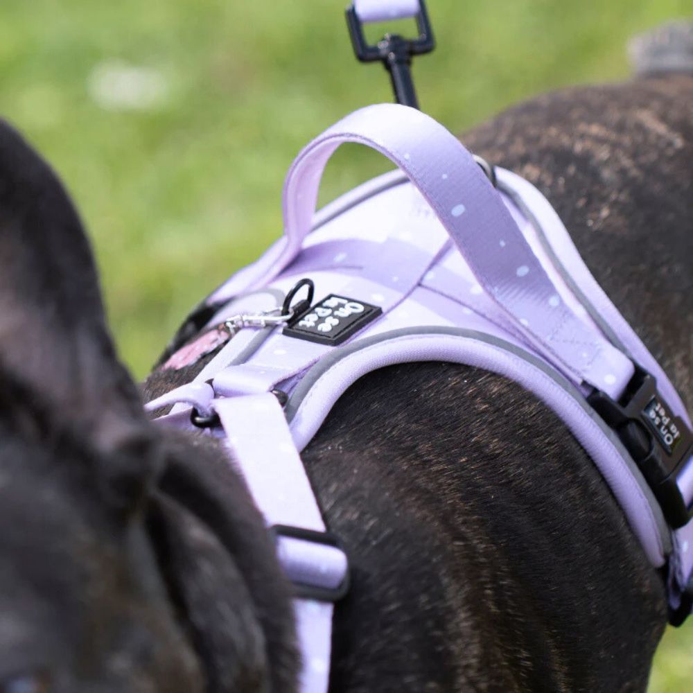 Harnais pour Chien Confortable et Innovant - Lilas