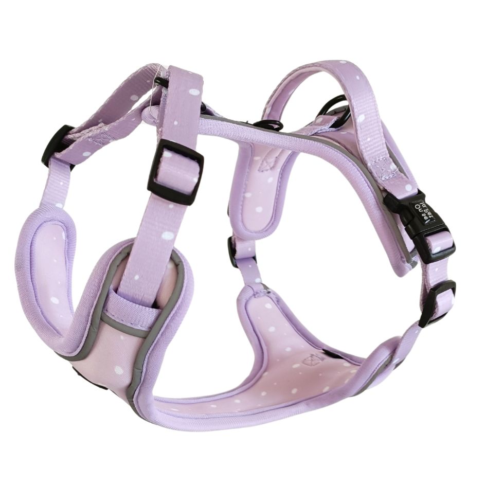 Harnais pour Chien Confortable et Innovant - Lilas