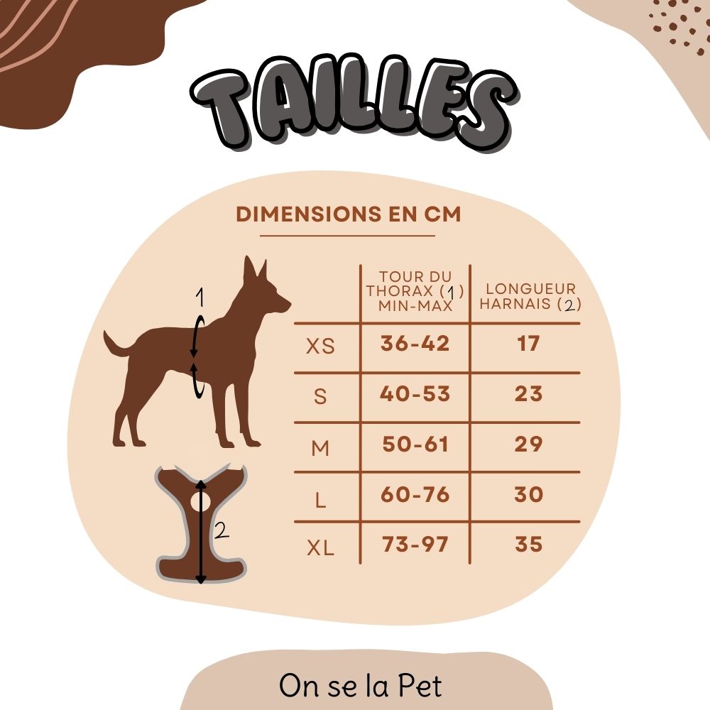 Harnais pour Chien Confortable et Innovant - Vert Pastel
