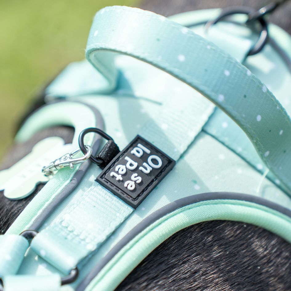 Harnais pour Chien Confortable et Innovant - Vert Pastel