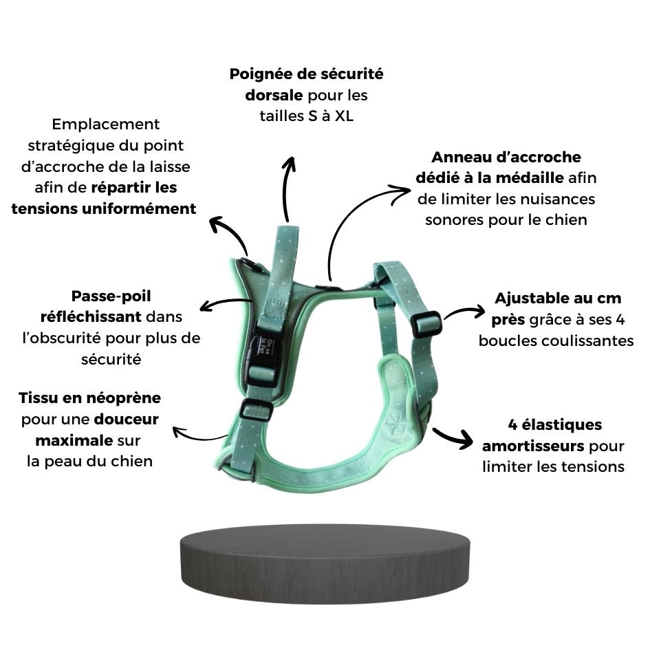 Harnais pour Chien Confortable et Innovant - Vert Pastel
