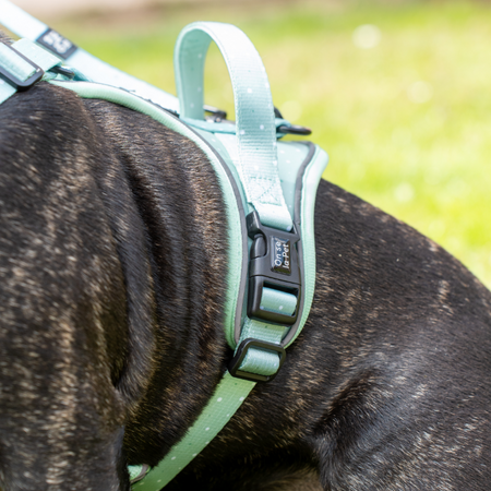 Comfortable and Innovative Dog Harness - Pastel Green