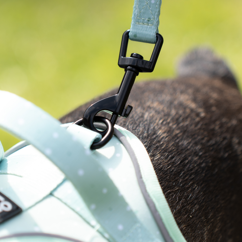 Harnais pour Chien Confortable et Innovant - Vert Pastel