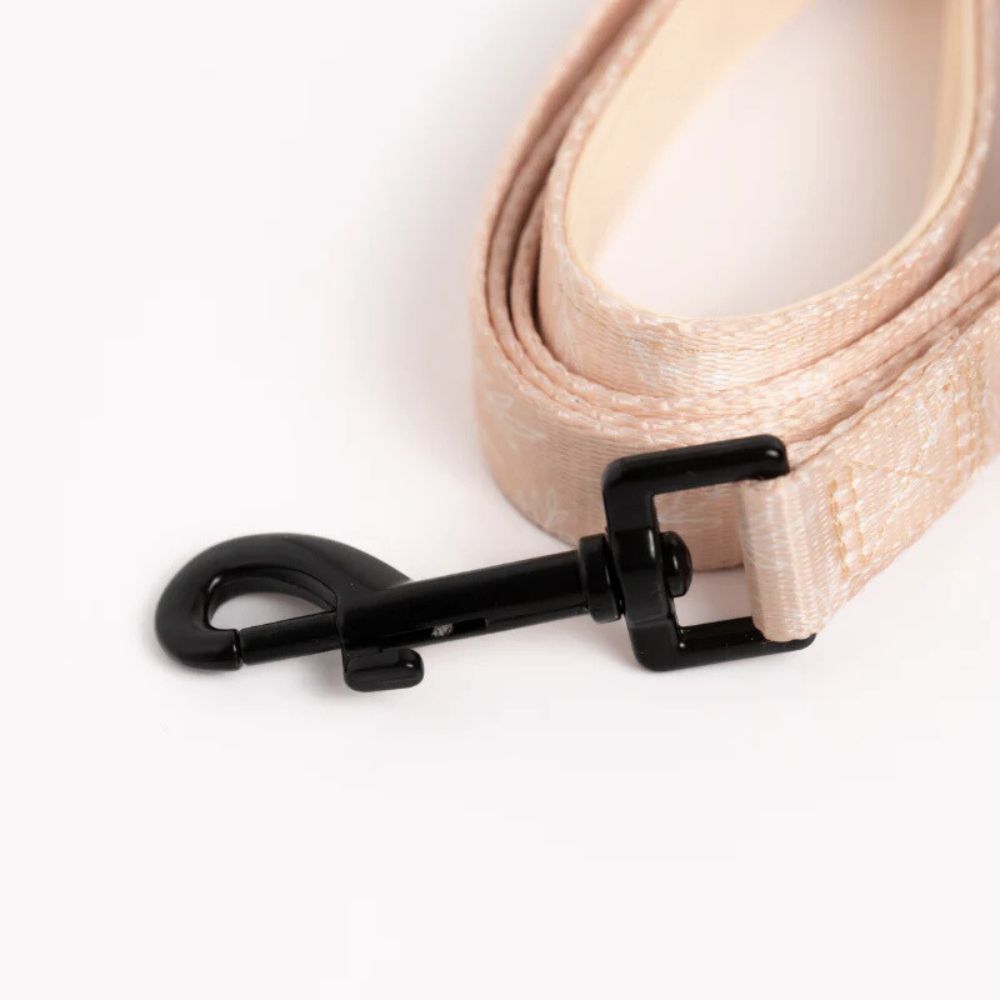 Laisse pour Chien Confortable et Pratique - Beige Tropical