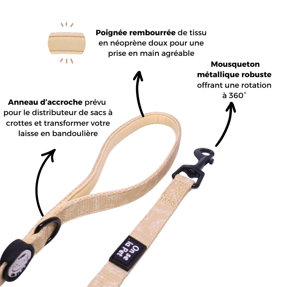 Laisse pour Chien Confortable et Pratique - Beige Tropical