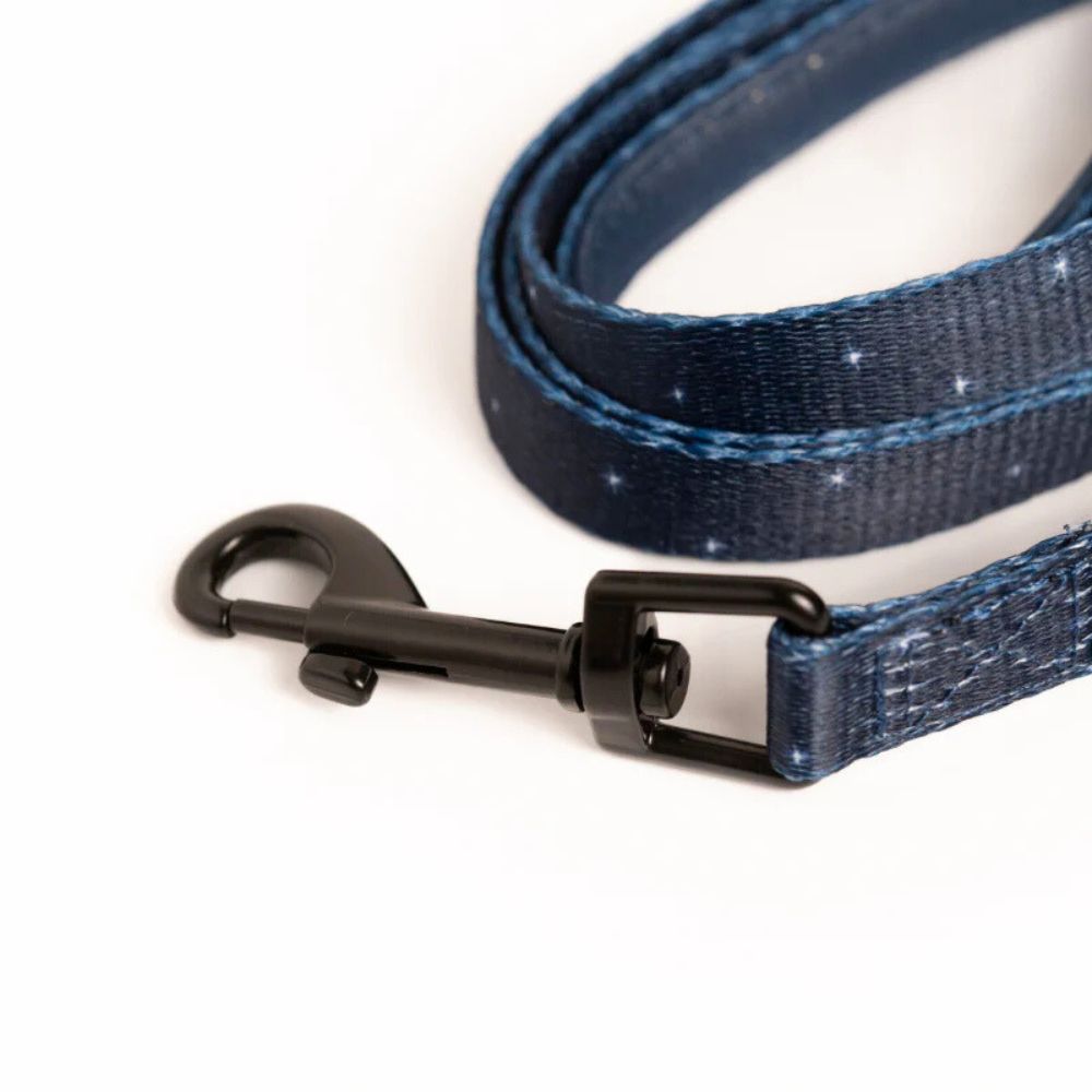 Laisse pour Chien Confortable et Pratique - Bleu Nuit