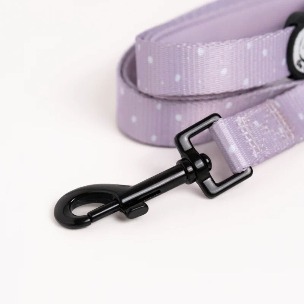 Laisse pour Chien Confortable et Pratique - Lilas