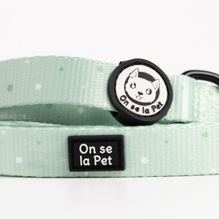 Laisse pour Chien Confortable et Pratique - Vert Pastel