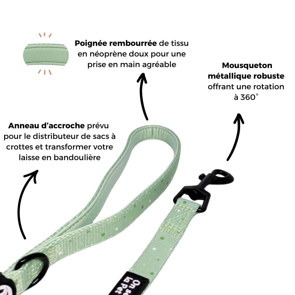 Laisse pour Chien Confortable et Pratique - Vert Pastel