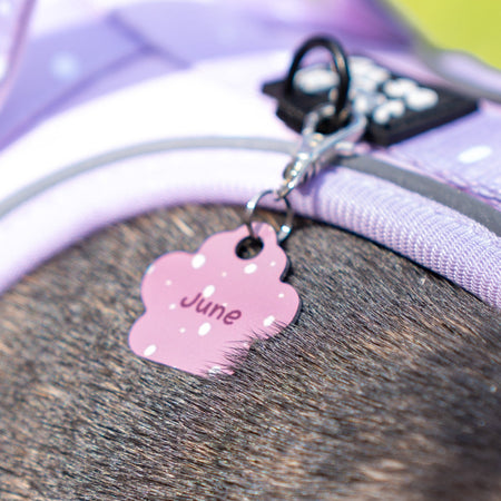 Customisable ID Tag for Animals - Paw Shape