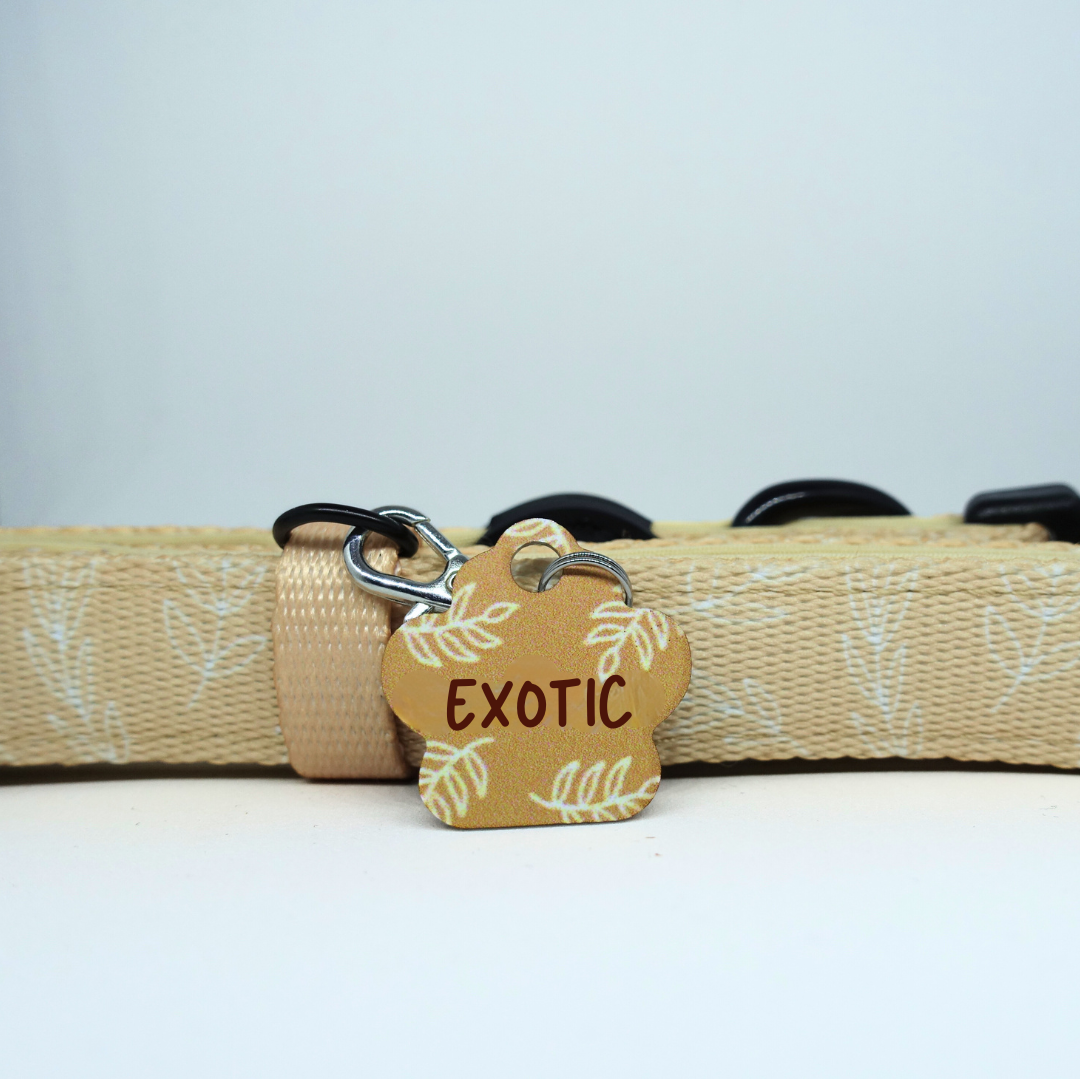 Médaille d'Identification Personnalisable pour Animaux - Forme Patte